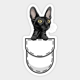 Funny Cornish Rex Pocket Cat Sticker